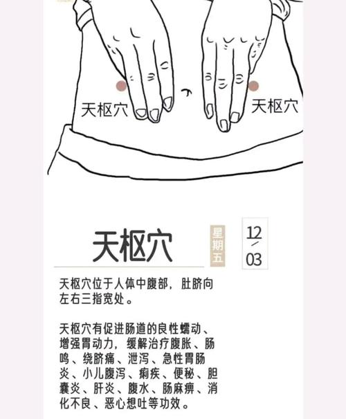 人体最重要的穴位艾灸