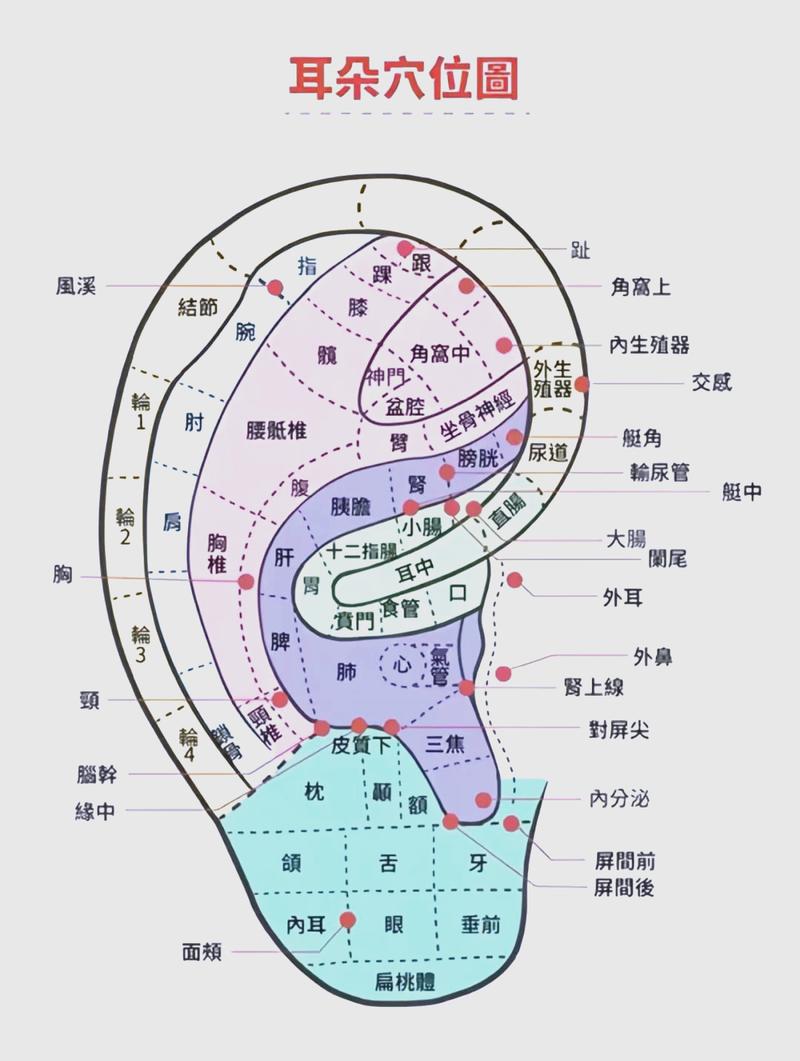 失眠耳穴压豆常用穴位