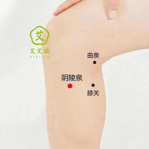 尿路感染艾灸哪个穴位