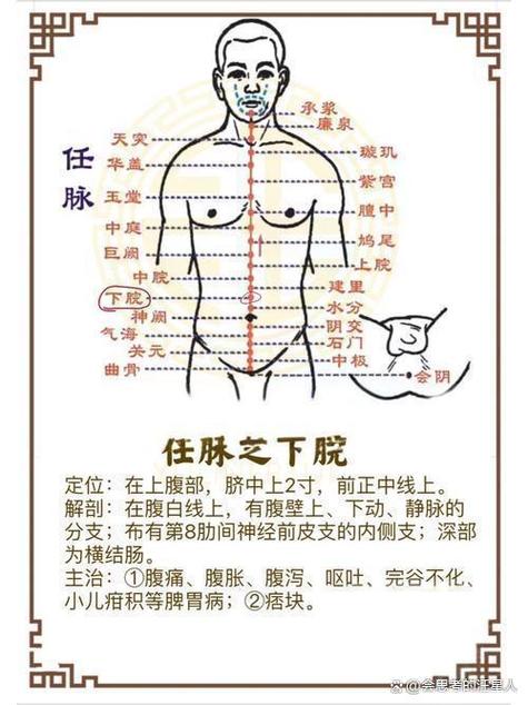 任脉络脉分出的穴位是