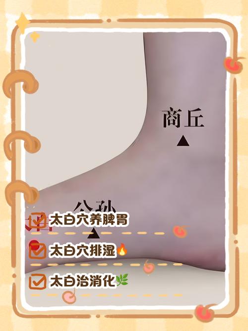 太白穴位位置图和作用