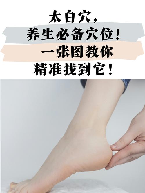 太白穴位位置图和作用