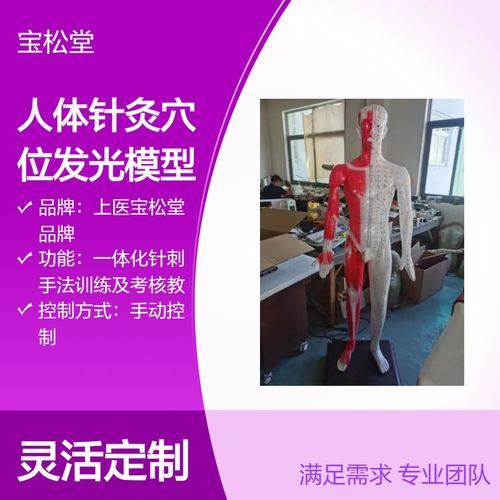 人体针灸穴位发光模型