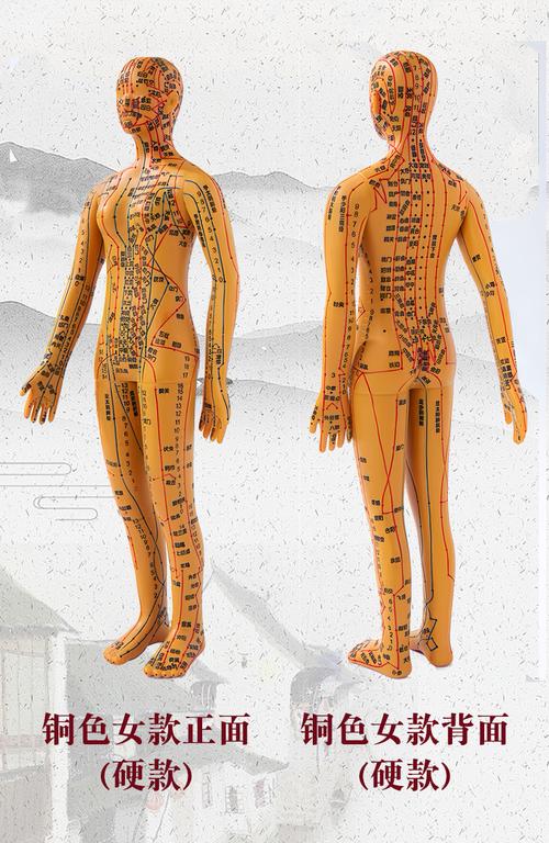 人体针灸穴位发光模型