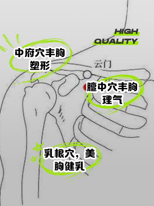 按摩哪个穴位可以丰胸