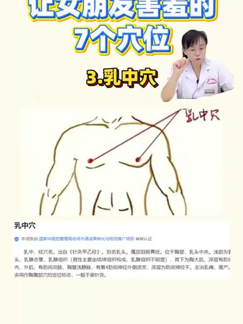 两乳房中间是什么穴位