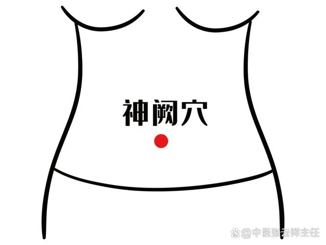 肚脐上四指是什么穴位