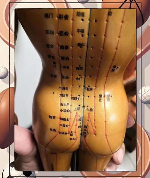 治疗坐骨神经痛的穴位