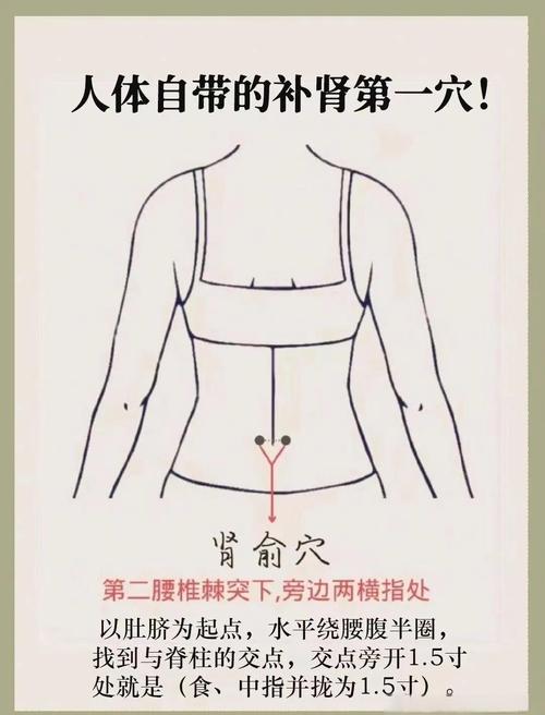 肾俞穴位的准确位置图