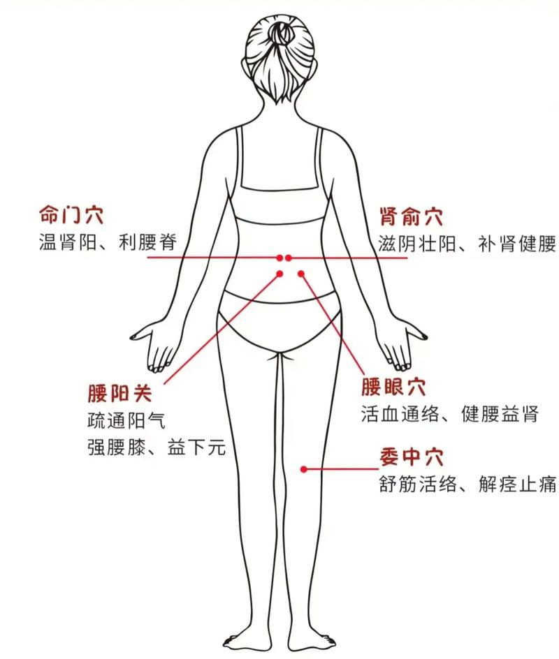 腰间盘突出按哪个穴位