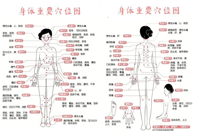 人体一共有多少个穴位