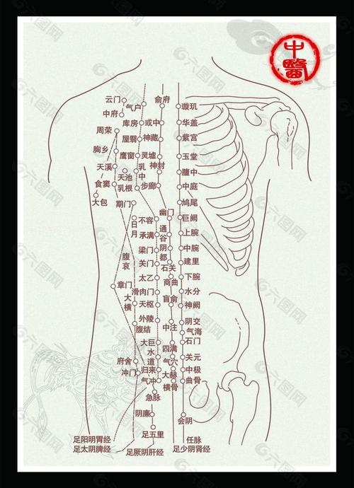 人体一共有多少个穴位