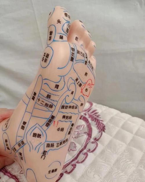 人体脚掌穴位有哪些