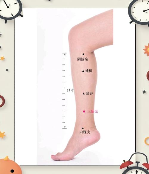 阴交穴位的准确位置