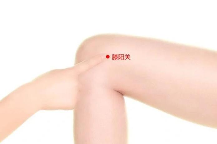 膝盖左内侧什么穴位