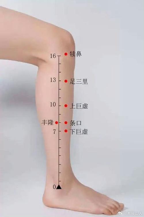 膝盖左内侧什么穴位