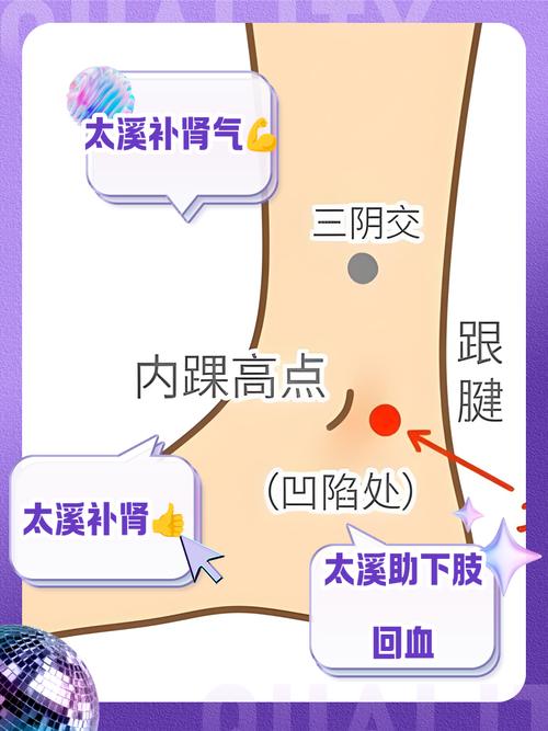 膝盖左内侧什么穴位