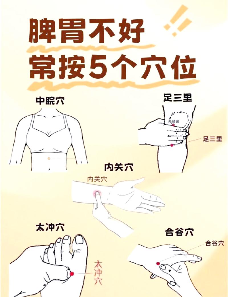 胃酸多按摩哪个穴位