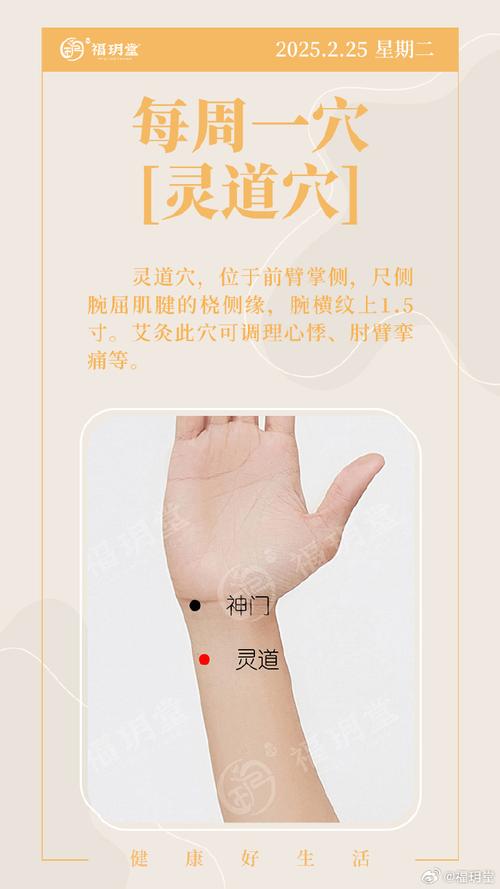 前臂痛艾灸哪个穴位