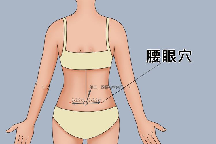 腰眼上部是什么穴位