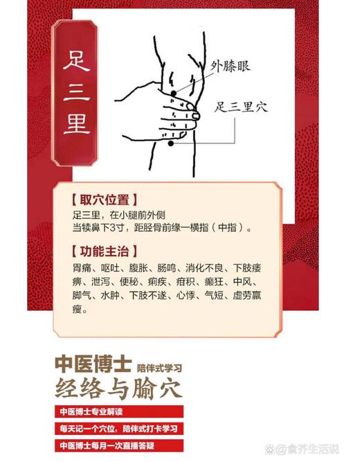 按摩 穴位 免疫力