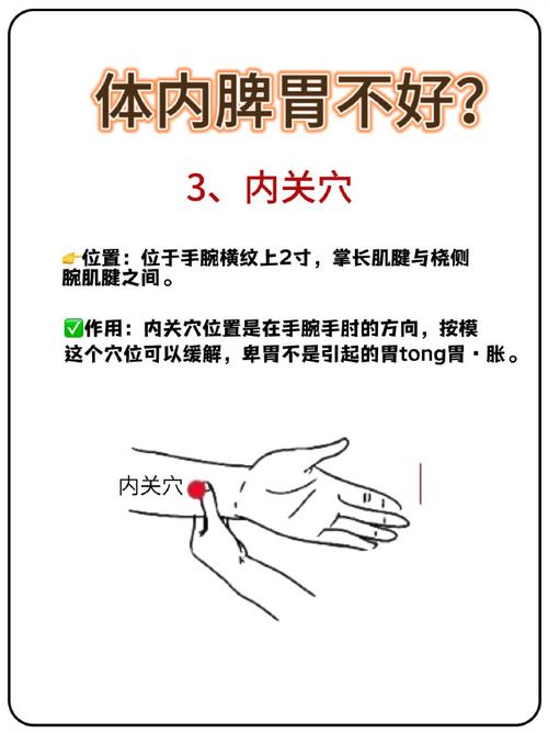 快速治脾胃虚弱穴位