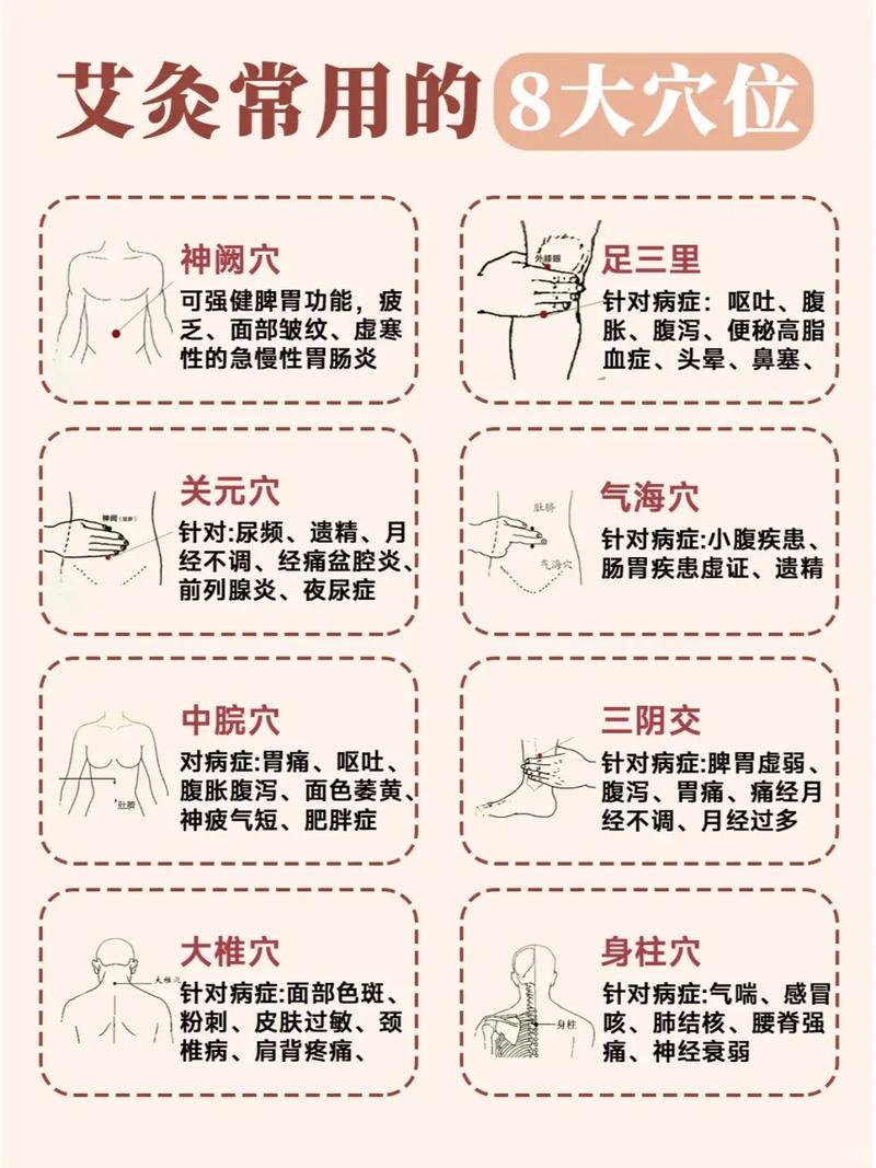 艾灸保健主要穴位图