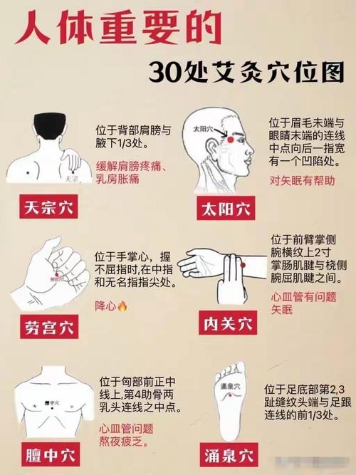 艾灸保健主要穴位图