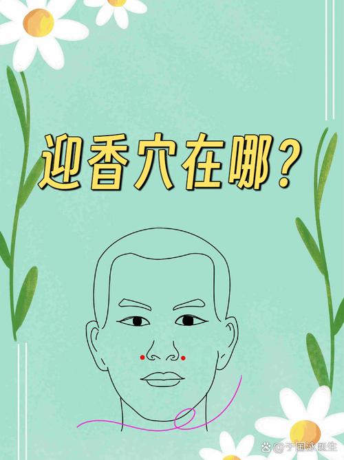 鼻部保健穴位图迎香