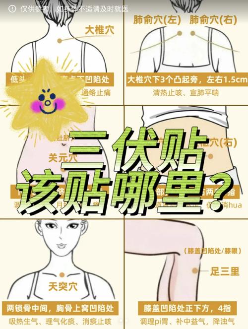 三伏贴风湿贴什么位置