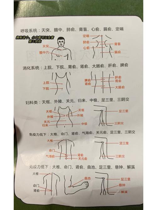 三伏贴风湿贴什么位置