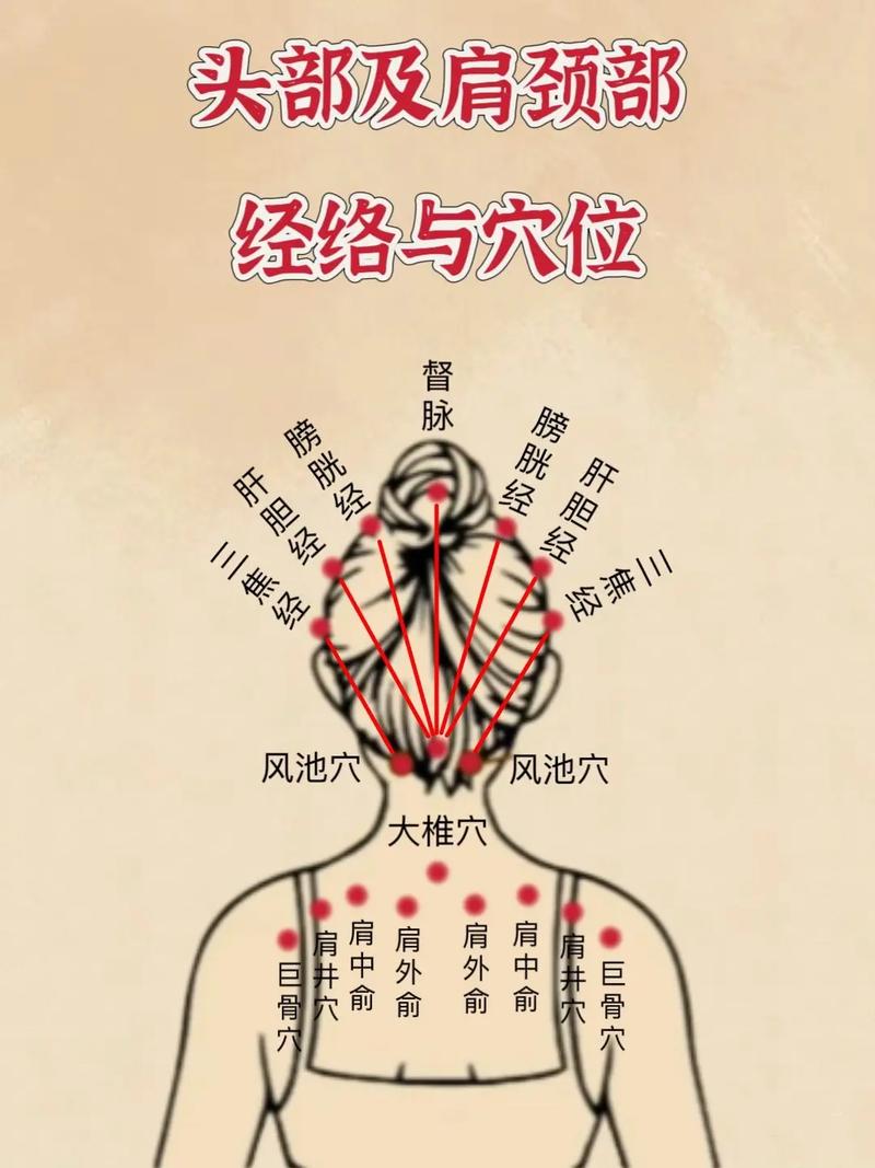 肩周炎与对应穴位图