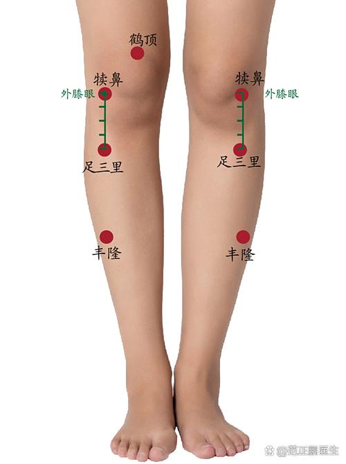 下肢麻木按那个穴位
