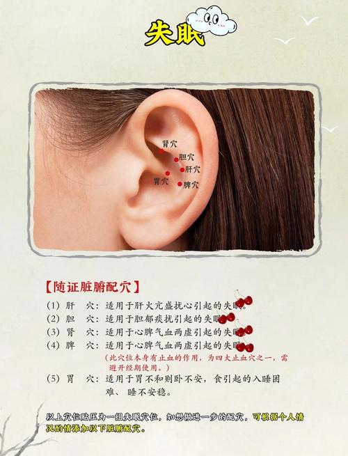 耳部哪个穴位管睡眠