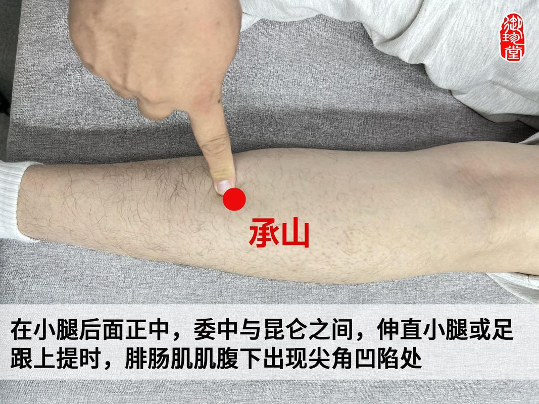 手承山穴位位置在哪