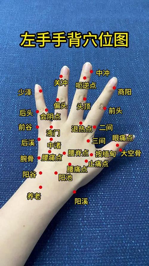 手承山穴位位置在哪