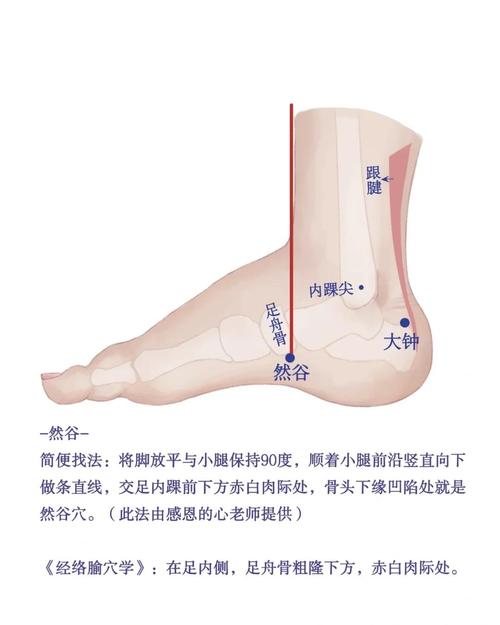 按什么穴位缓解饥饿