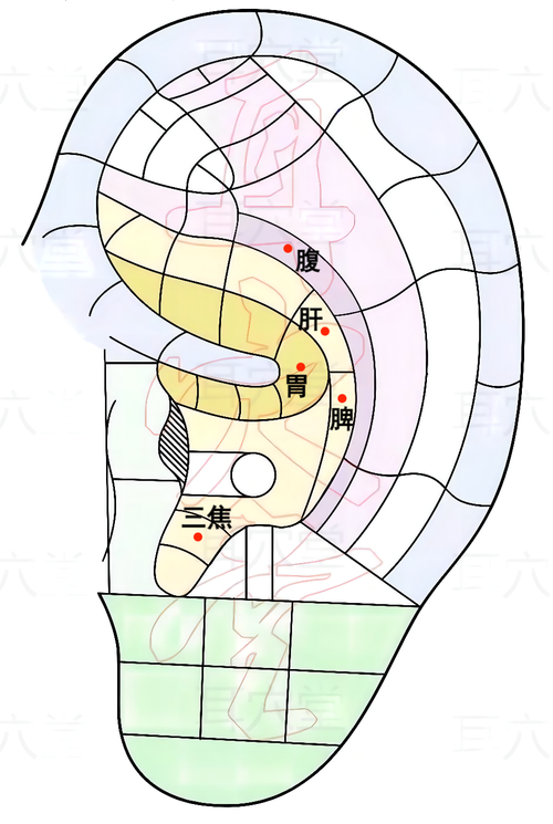 耳朵穴位治疗胃病吗