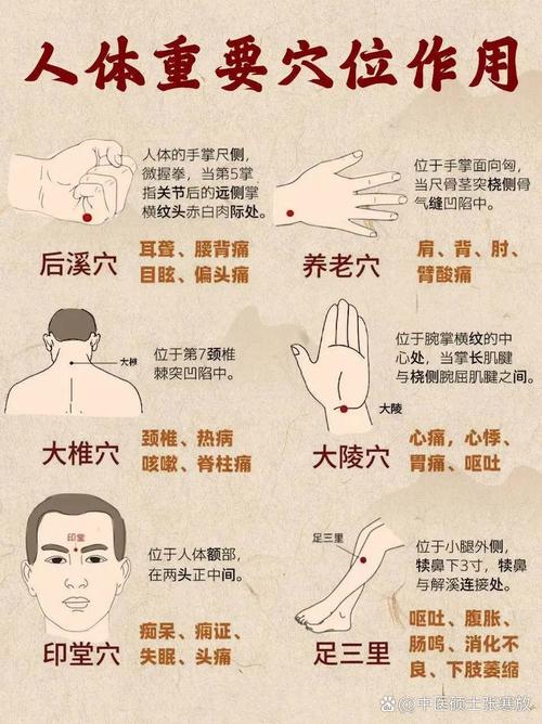 身体易疲劳穴位按摩