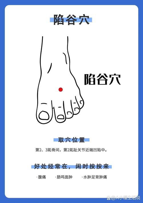 治疗腿脚浮肿的穴位