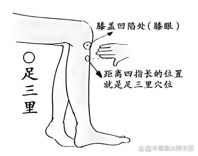 治疗腿脚浮肿的穴位
