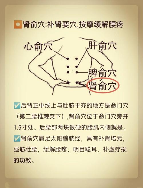 肾俞下面是什么穴位