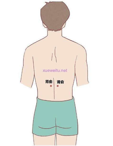 肾俞下面是什么穴位