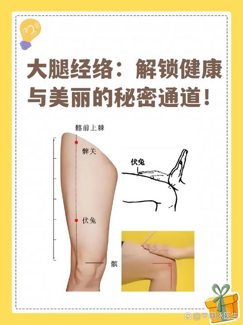 大腿减肥臀部穴位图