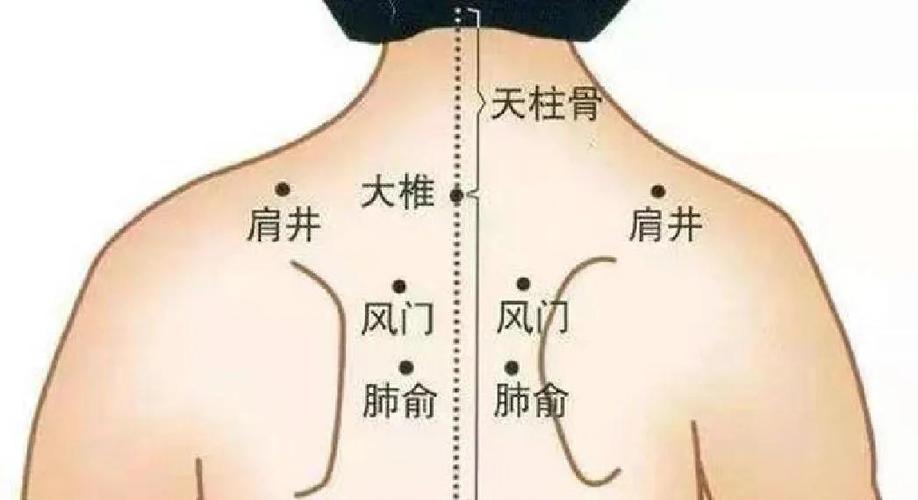 横骨穴位准确位置图