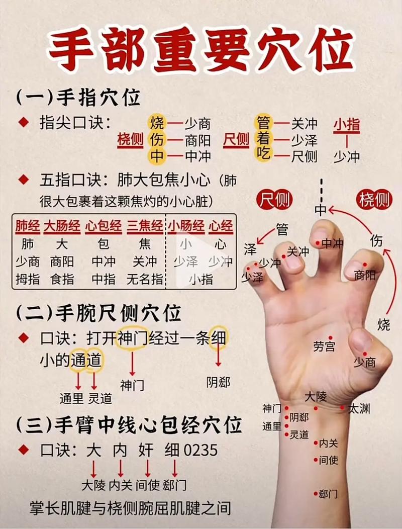 手上那个穴位对应胃