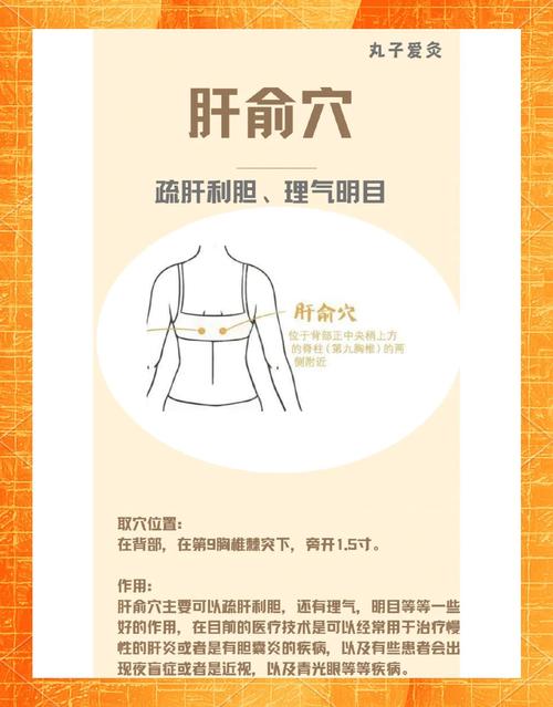 护肝脏按摩那个穴位