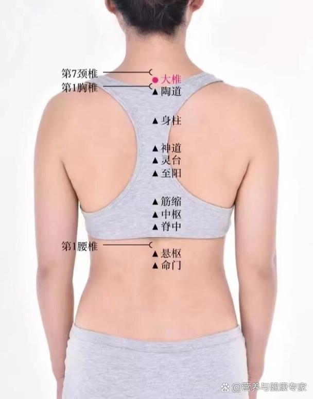 人体大椎穴位图高清