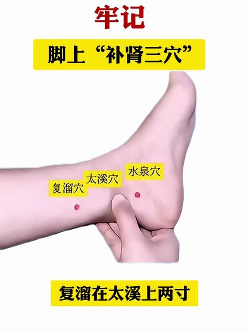 脚上什么穴位治肾虚