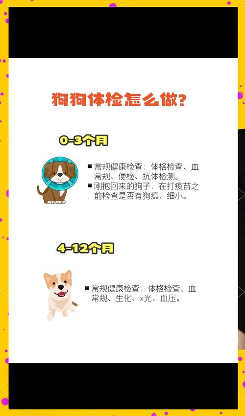 狗狗怎么检查心梗脑梗